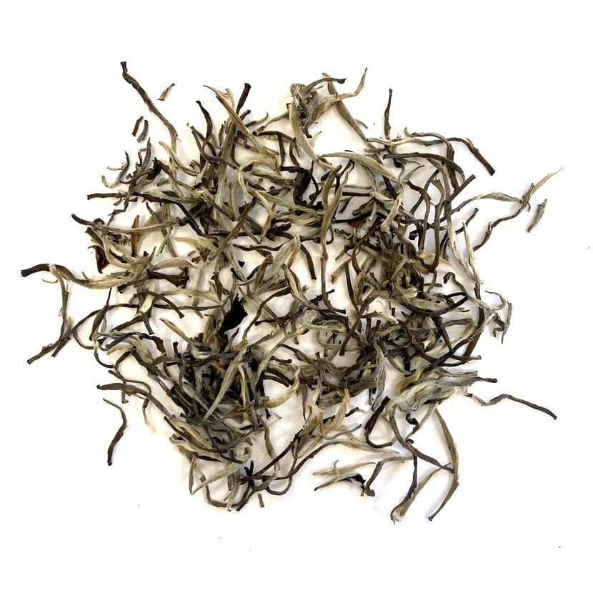 Organic Jungpana Darjeeling Silver Tips