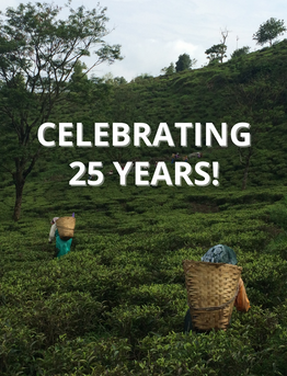 Eco-Prima - Celebrating 25 Years!